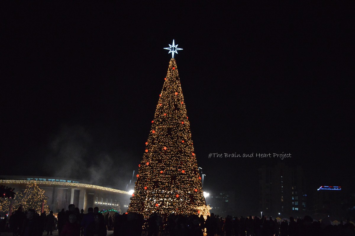 Capodanno in Albania_Albero di natale illuminato e addobbato in Piazza Skanderbeg a Tirana