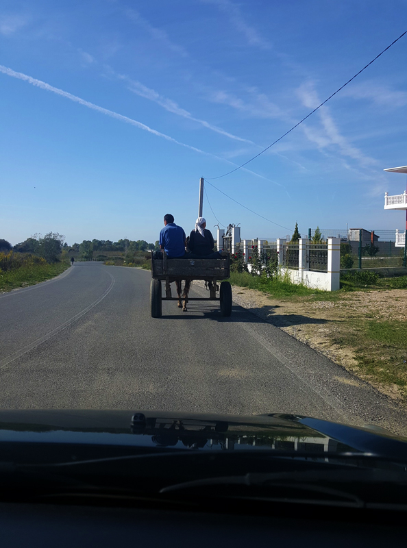 Vacanze in Albania lowcost carretto sulla strada per kepi i rodonit