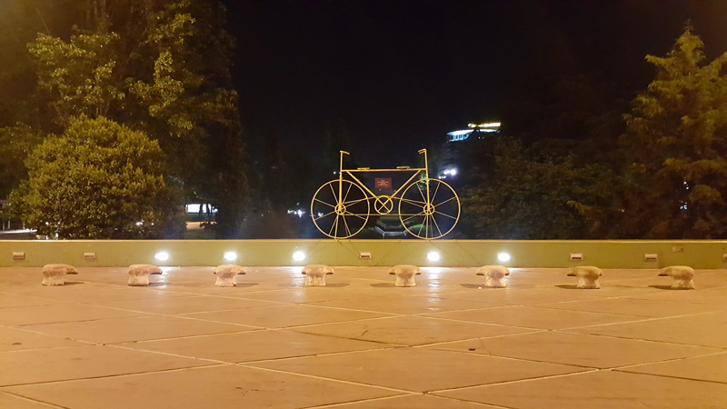 Visitare Tirana, bicicletta su fiume Lana