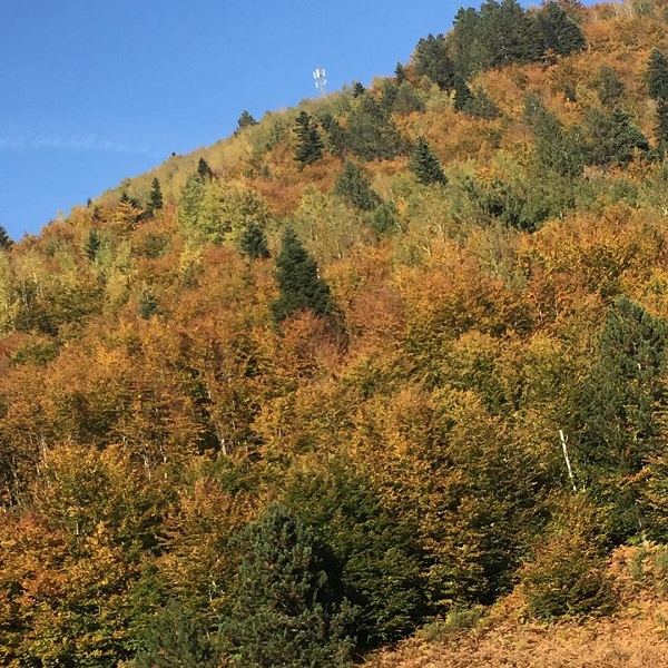 Autunno in Albania, foliage, Voskopoja, Korça