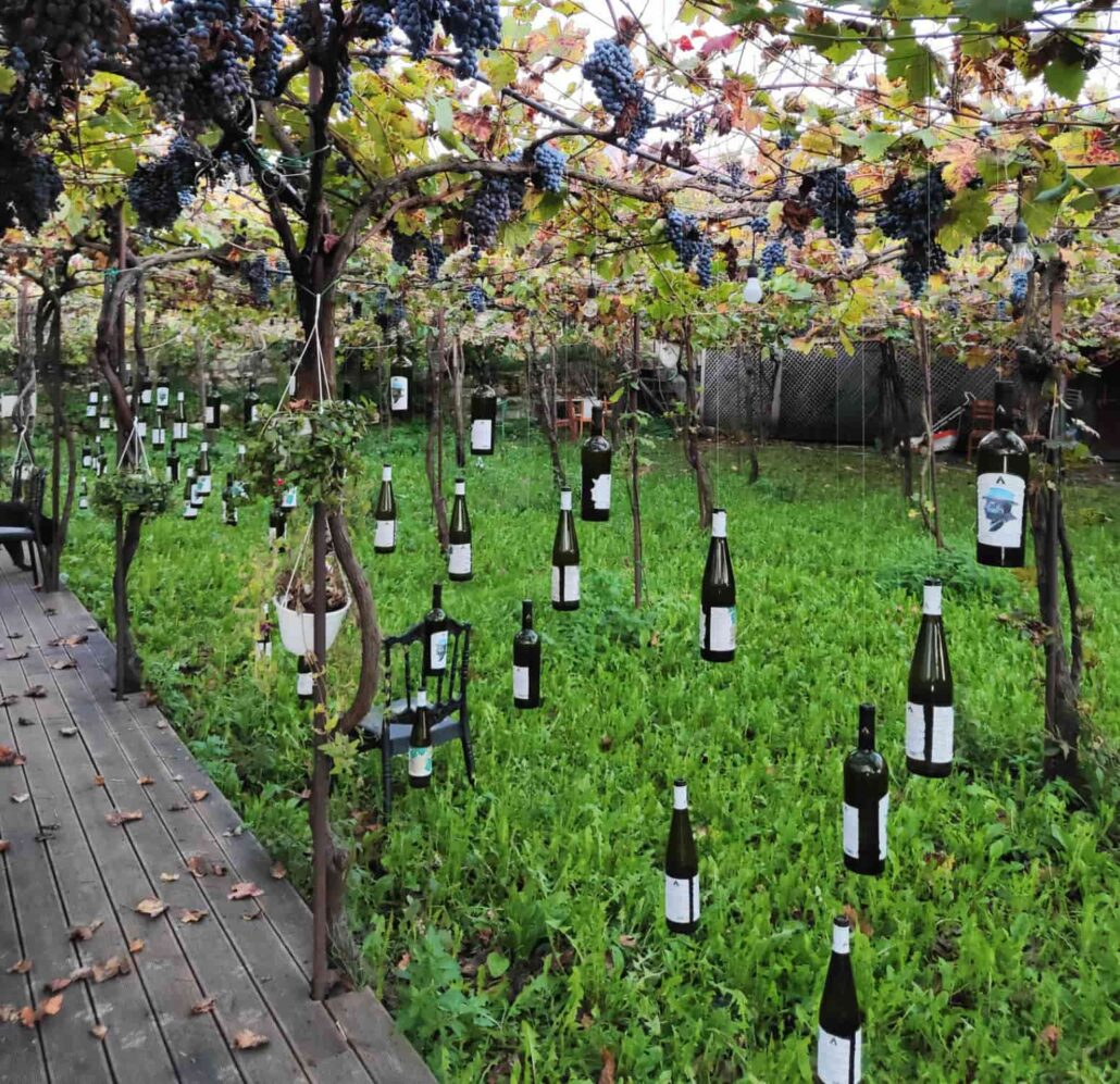 Vado in Albania Tour Operator